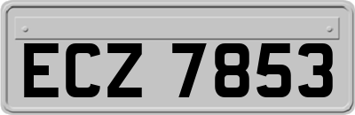 ECZ7853