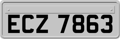ECZ7863