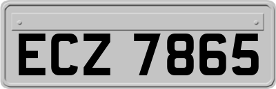 ECZ7865