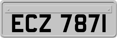 ECZ7871