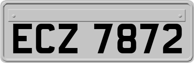 ECZ7872