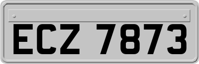 ECZ7873