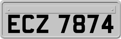 ECZ7874