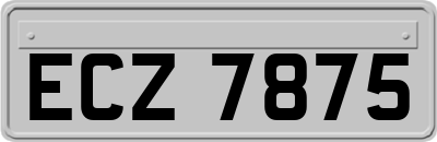 ECZ7875
