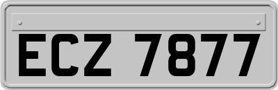 ECZ7877