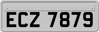 ECZ7879