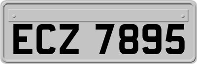 ECZ7895