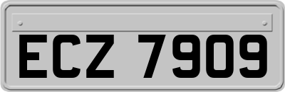 ECZ7909