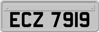 ECZ7919