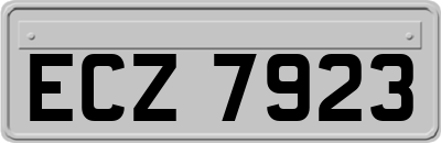 ECZ7923