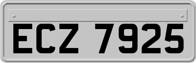 ECZ7925