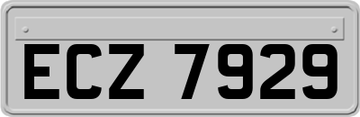 ECZ7929