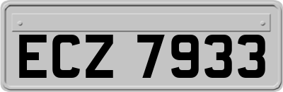 ECZ7933