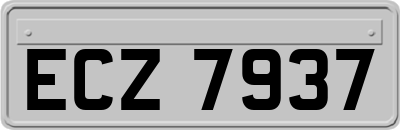 ECZ7937