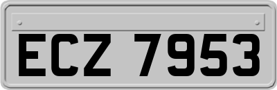 ECZ7953
