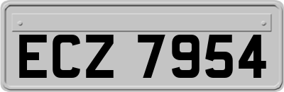 ECZ7954