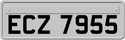 ECZ7955
