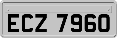 ECZ7960