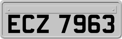 ECZ7963