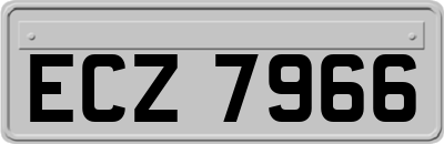 ECZ7966