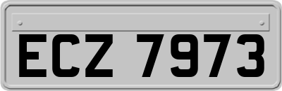 ECZ7973