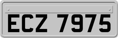 ECZ7975