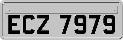 ECZ7979