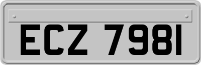 ECZ7981