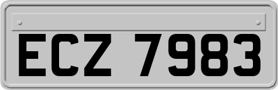 ECZ7983