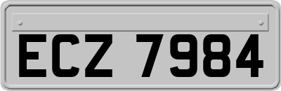 ECZ7984