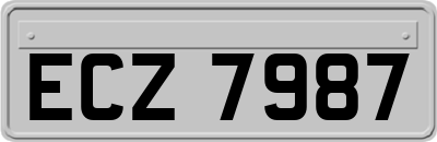 ECZ7987