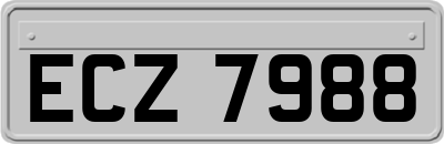 ECZ7988