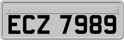 ECZ7989