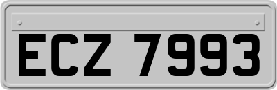 ECZ7993
