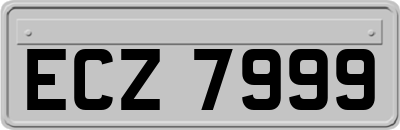 ECZ7999