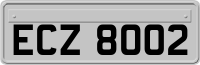 ECZ8002
