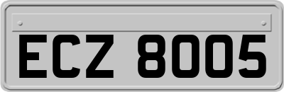 ECZ8005