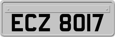 ECZ8017