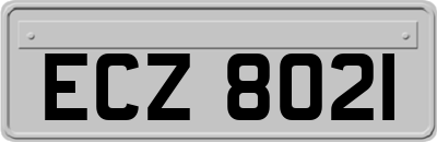 ECZ8021