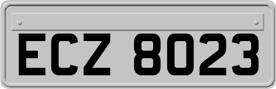 ECZ8023