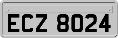 ECZ8024