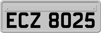 ECZ8025