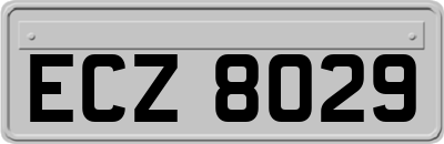 ECZ8029