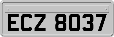 ECZ8037