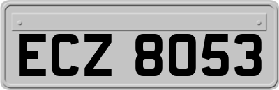 ECZ8053