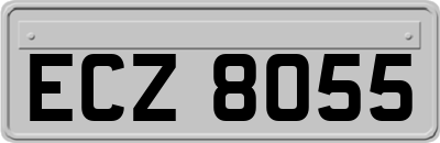 ECZ8055