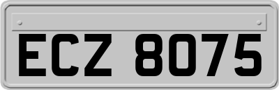 ECZ8075