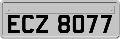 ECZ8077