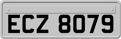 ECZ8079