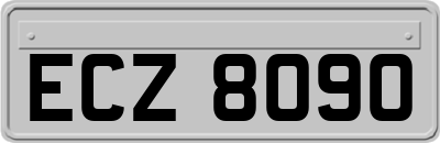 ECZ8090